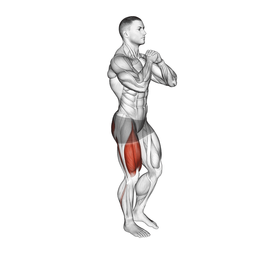 conventional single leg squat muscles 