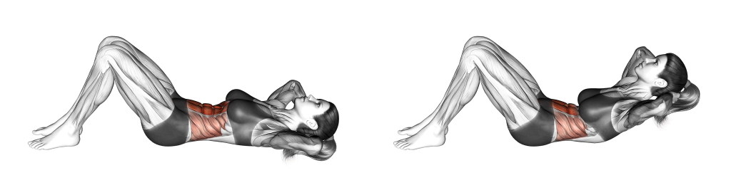 crunch muscles