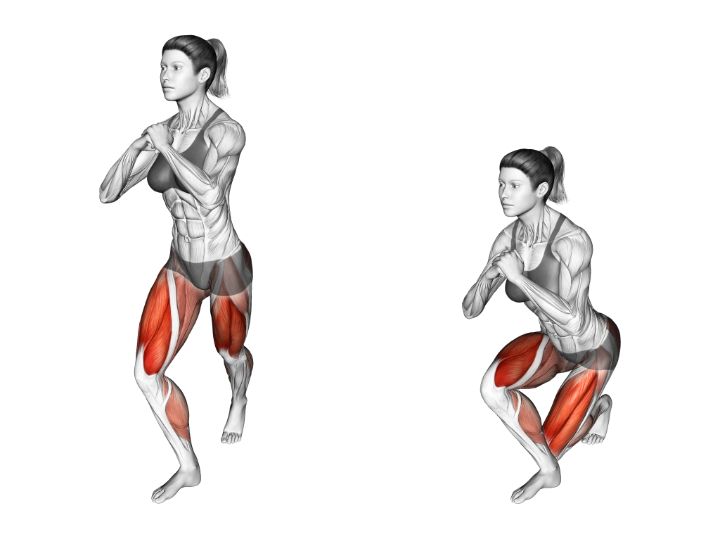 curtsy lunge muscles