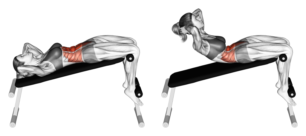 decline crunch muscles