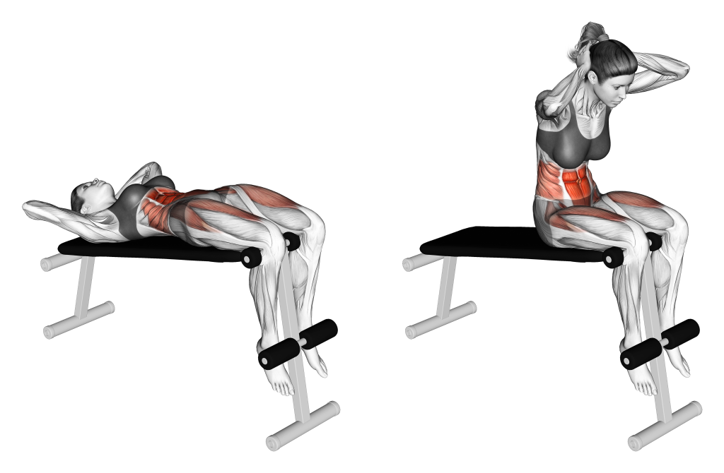 decline sit up muscles