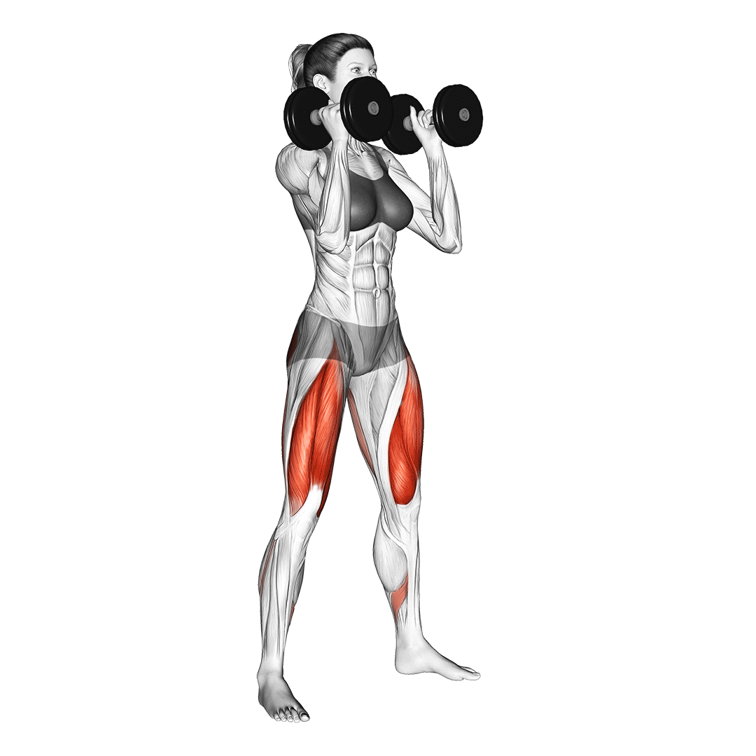 dumbbell front squat