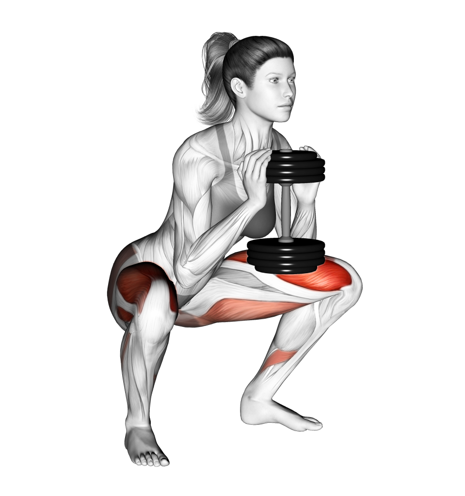 dumbbell goblet squat example