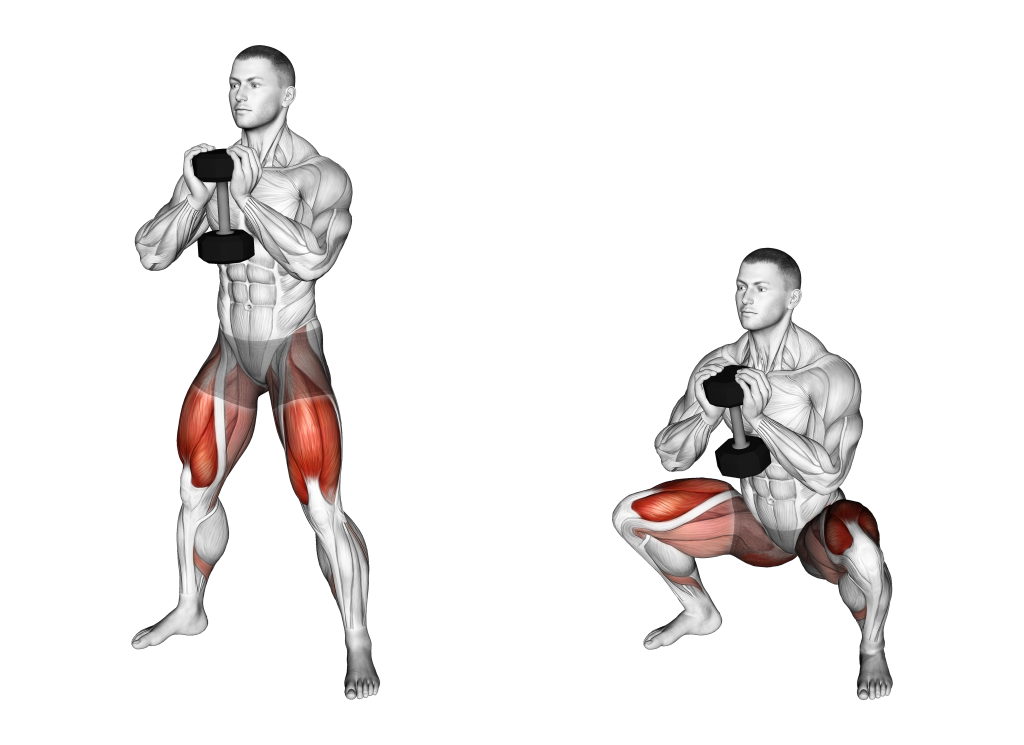dumbbell sumo goblet squat muscles
