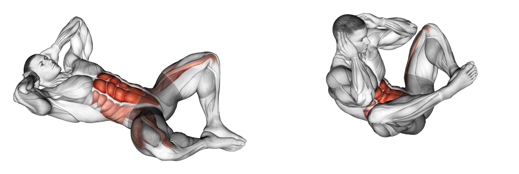 frog crunch muscles