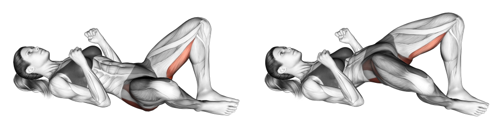 frog pump muscles