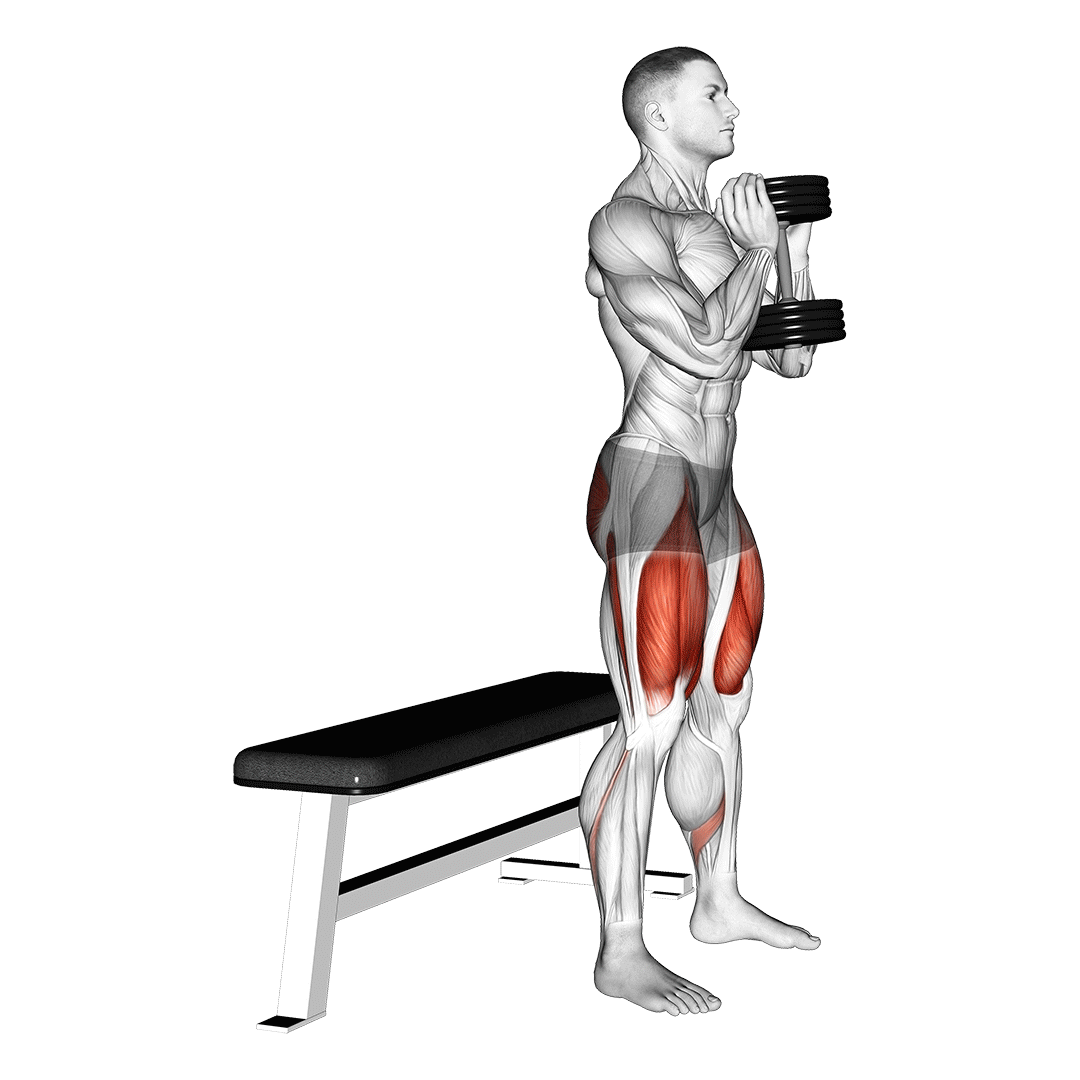 goblet box squat