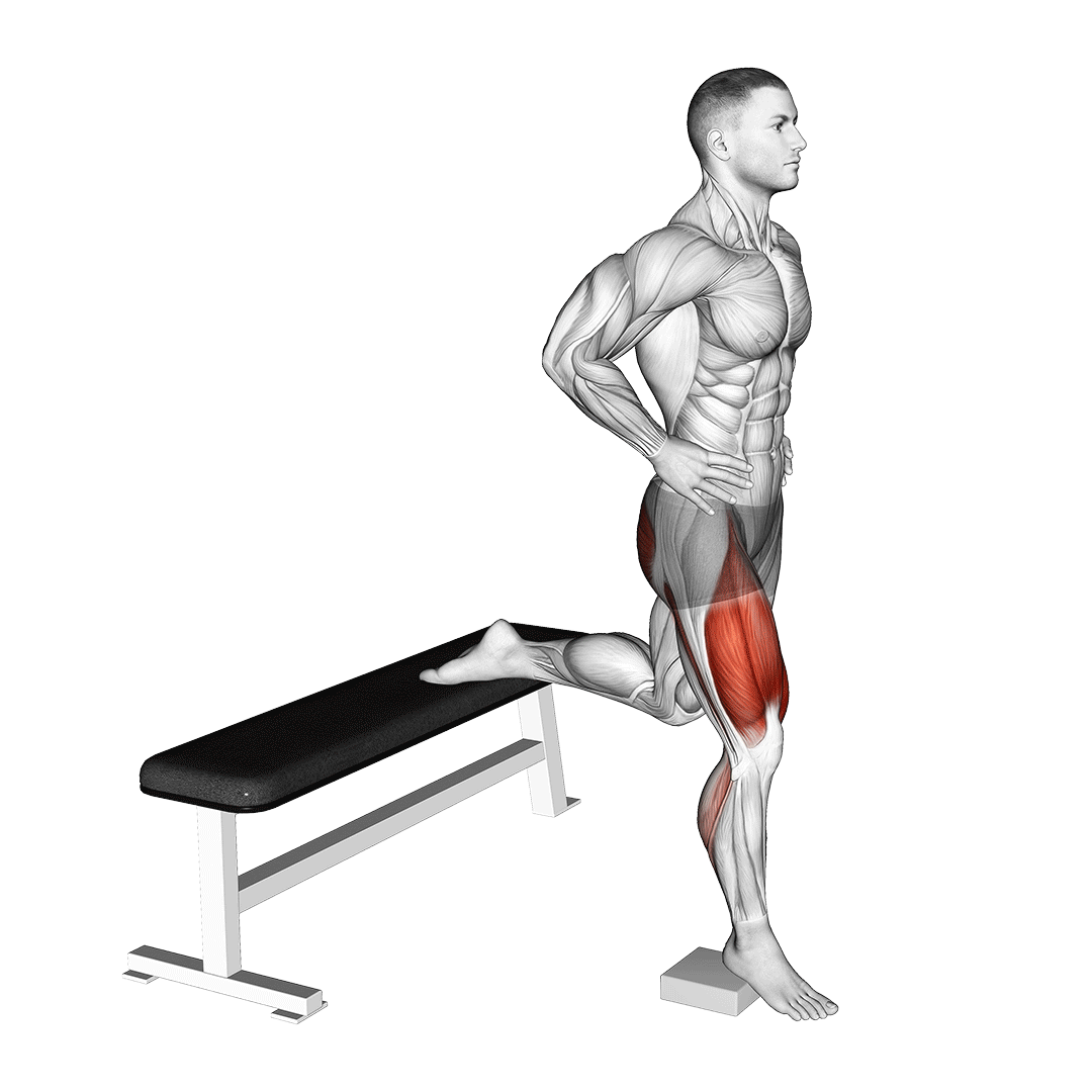heel elevated bulgarian split squat muscles