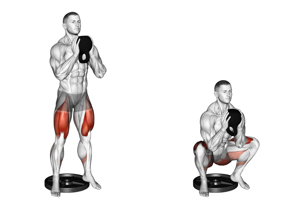heel elevated goblet squat muscles