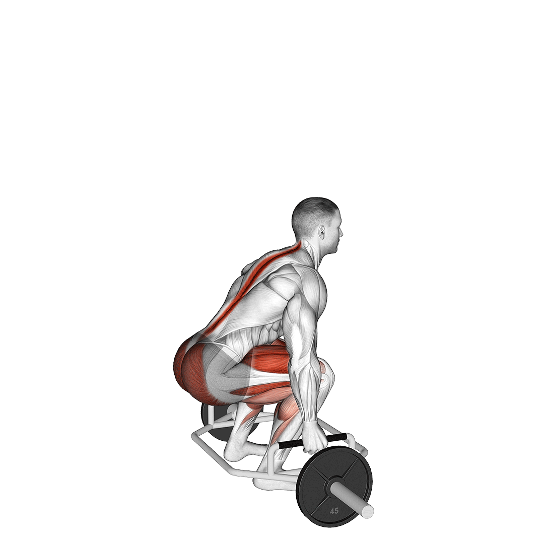 hex bar deadlift