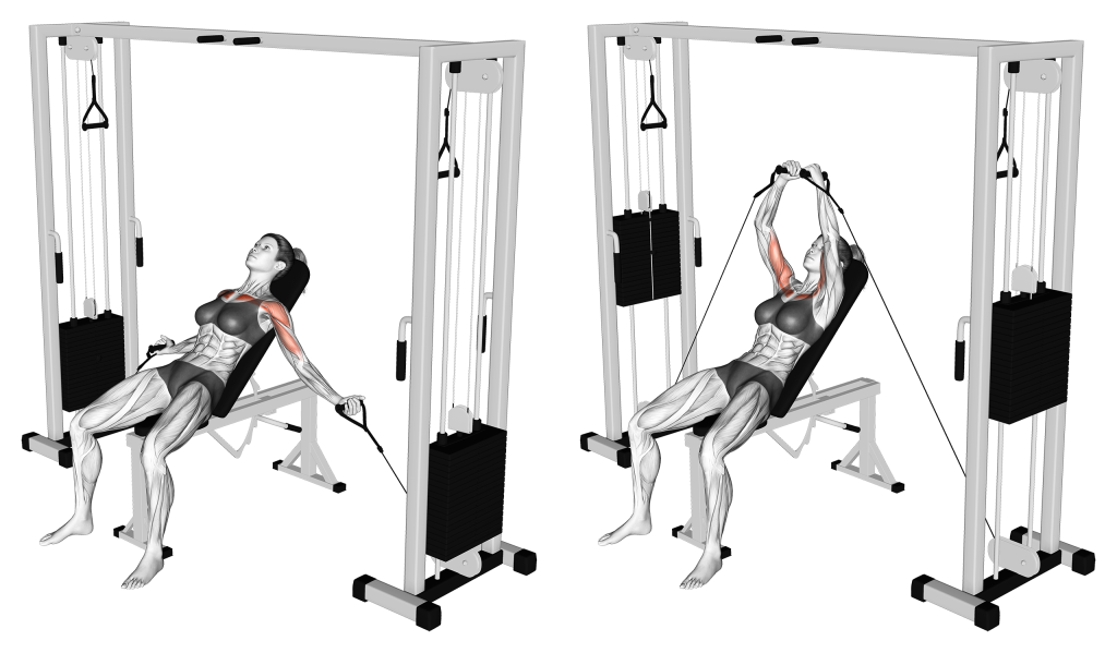 incline cable fly muscles