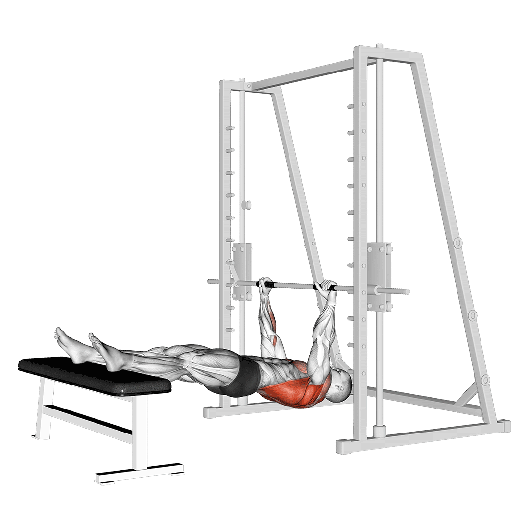 inverted row feet elevated