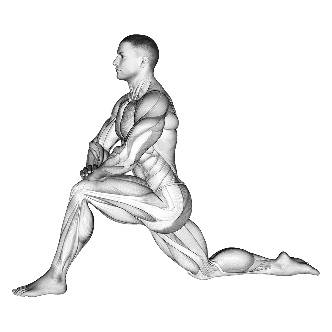 kneeling lunge stretch muscles