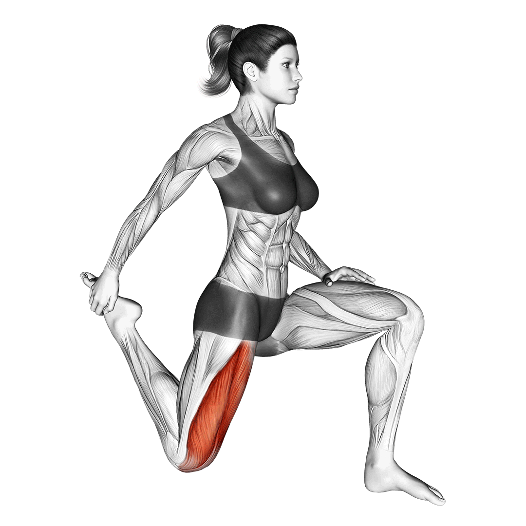 kneeling quad stretch behind back