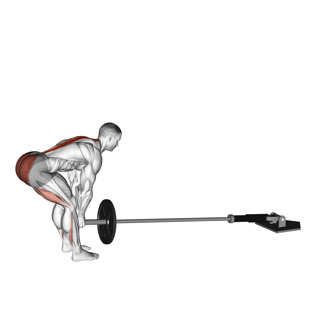 landmine deadlift