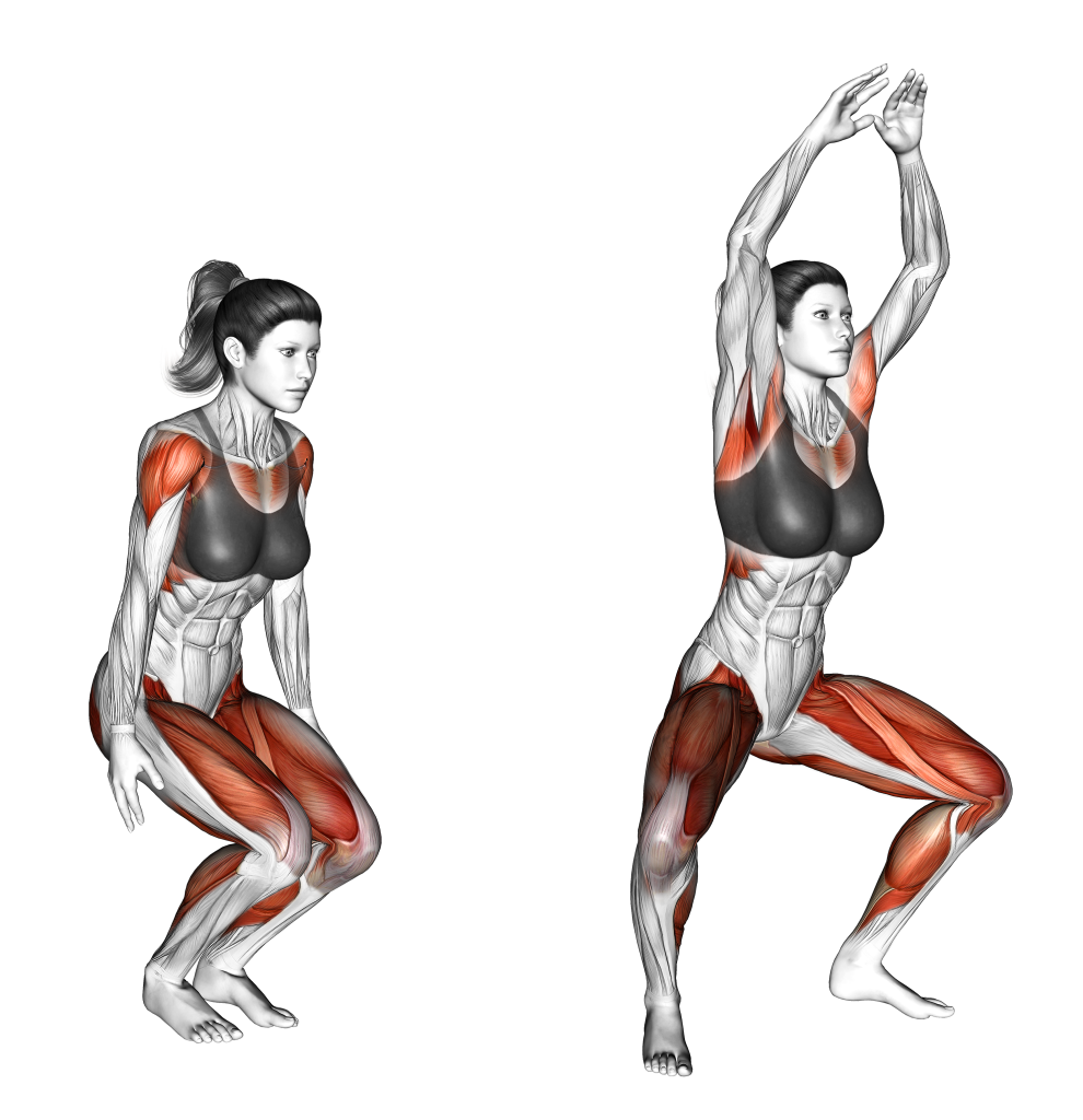 low jack muscles