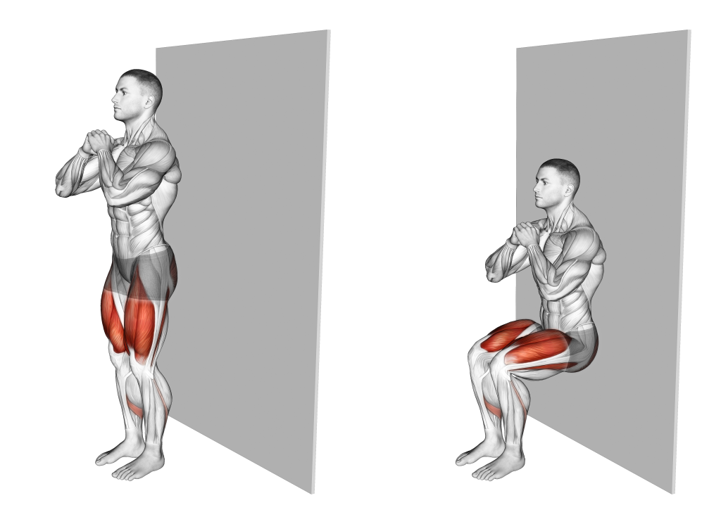 narrow stance wall sit muscles