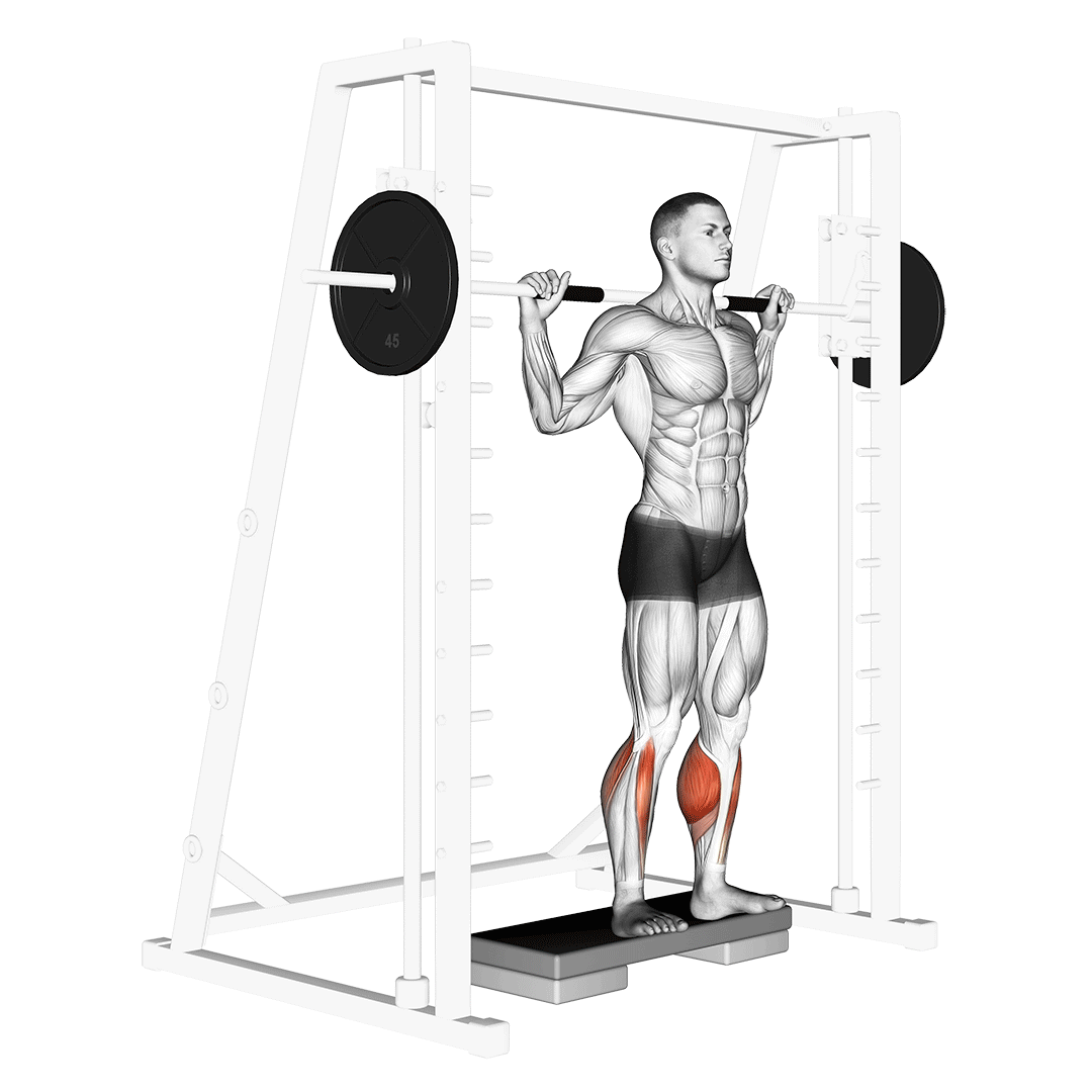 negative calf raise