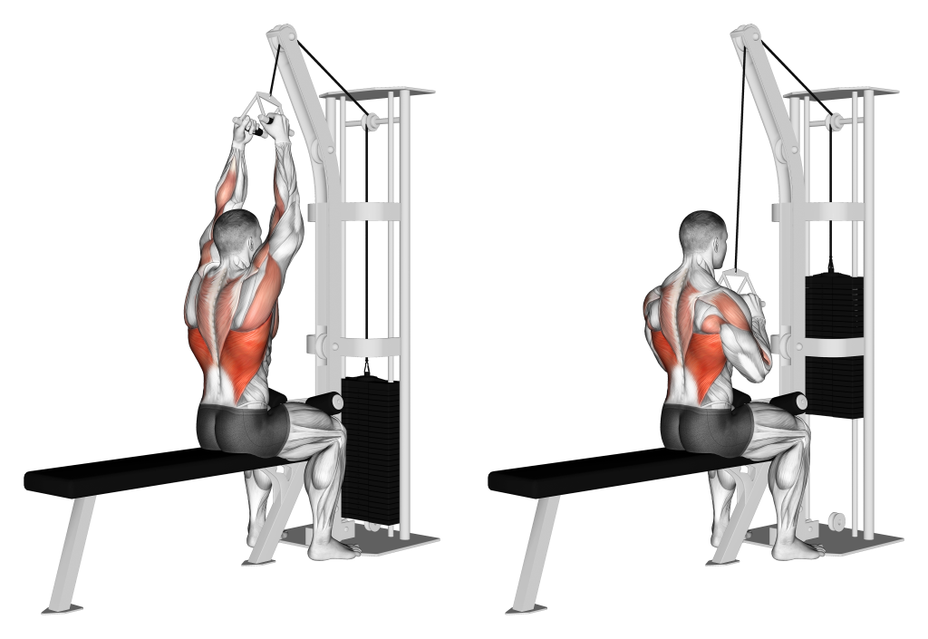 neutral grip lat pulldown muscles