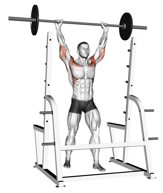 overhead press example