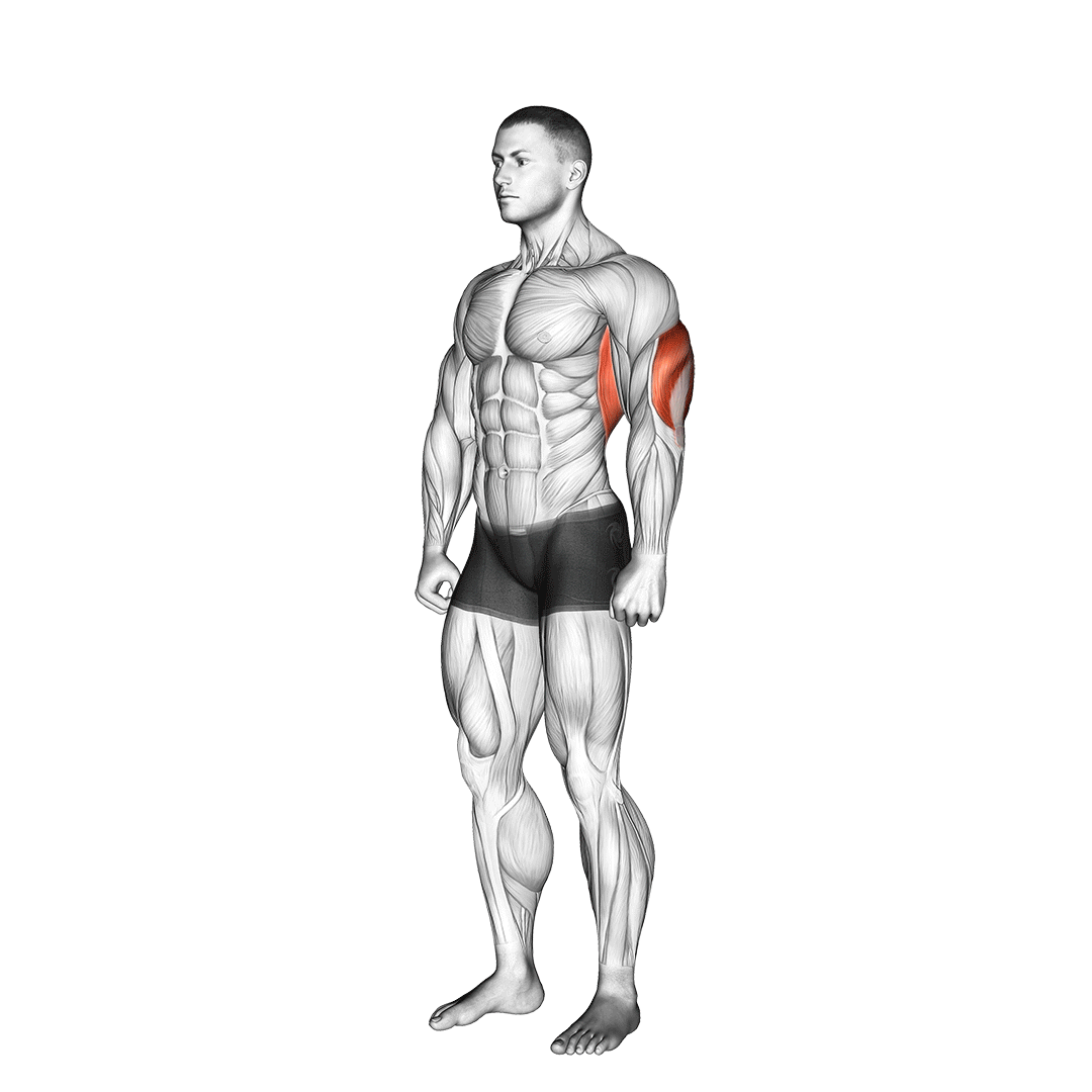 overhead tricep stretch
