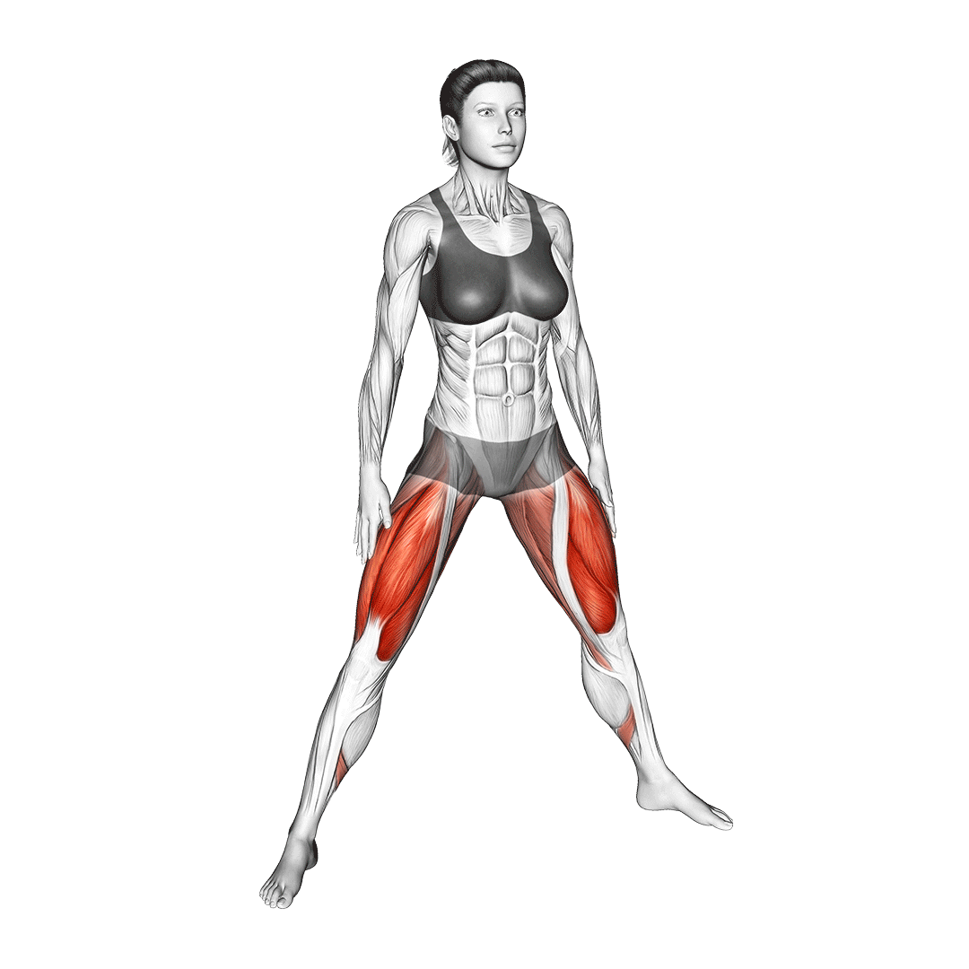 plie squat