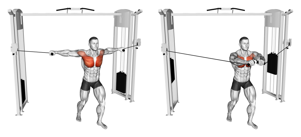 pronated grip cable fly