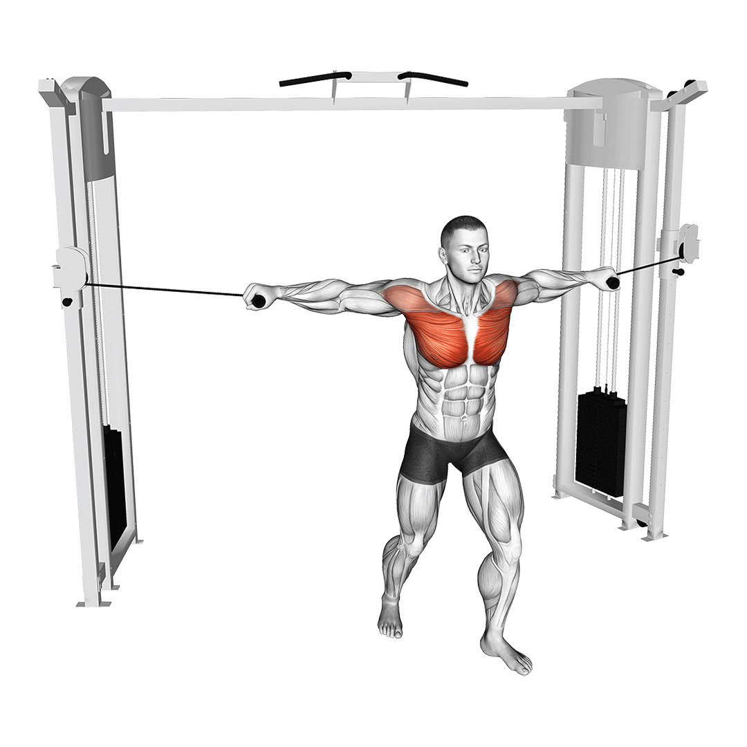 pronated grip cable fly