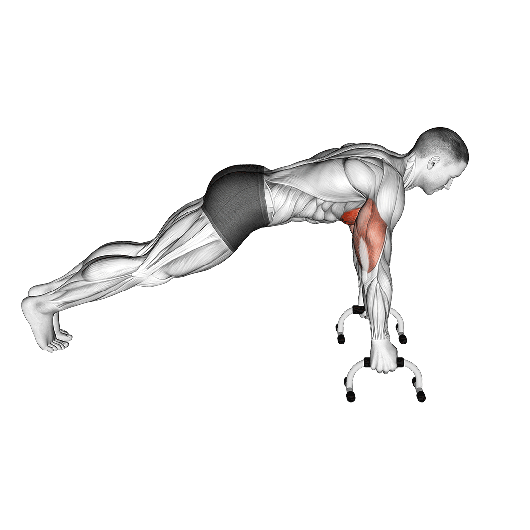 push up handles