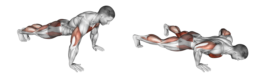 push up jack muscles