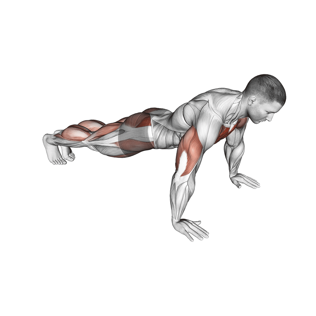 push up jack muscles