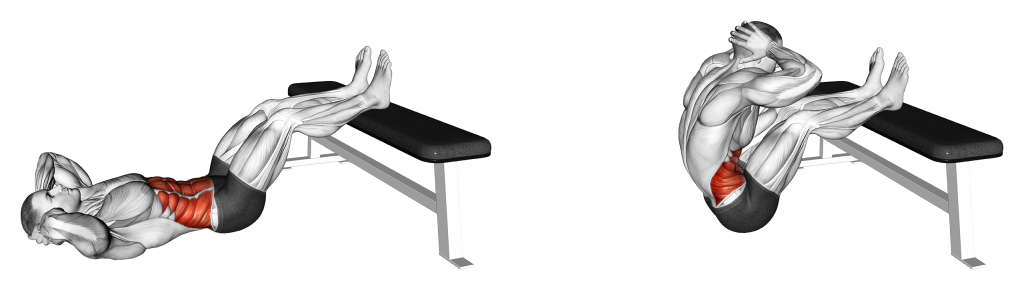 raised sit up muscles