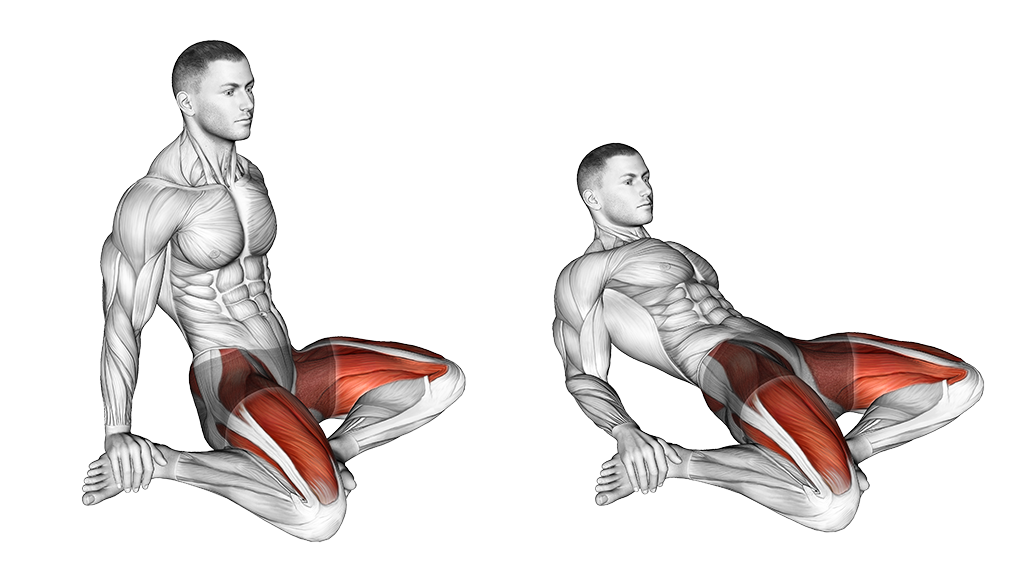 seated quad stretch muscles