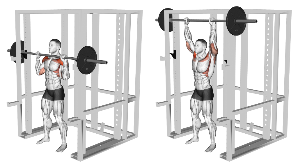 shoulder pin press muscles