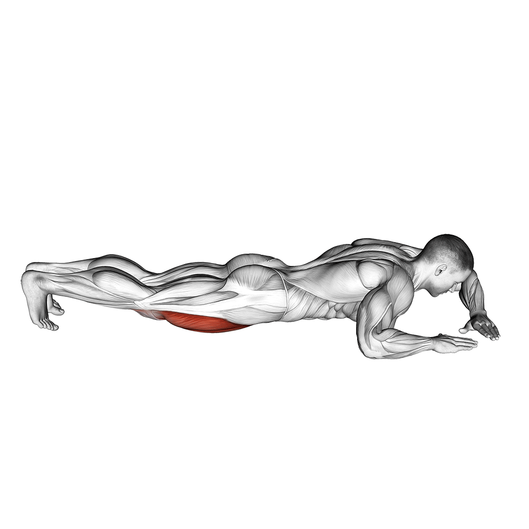 side lying quad stretch movement