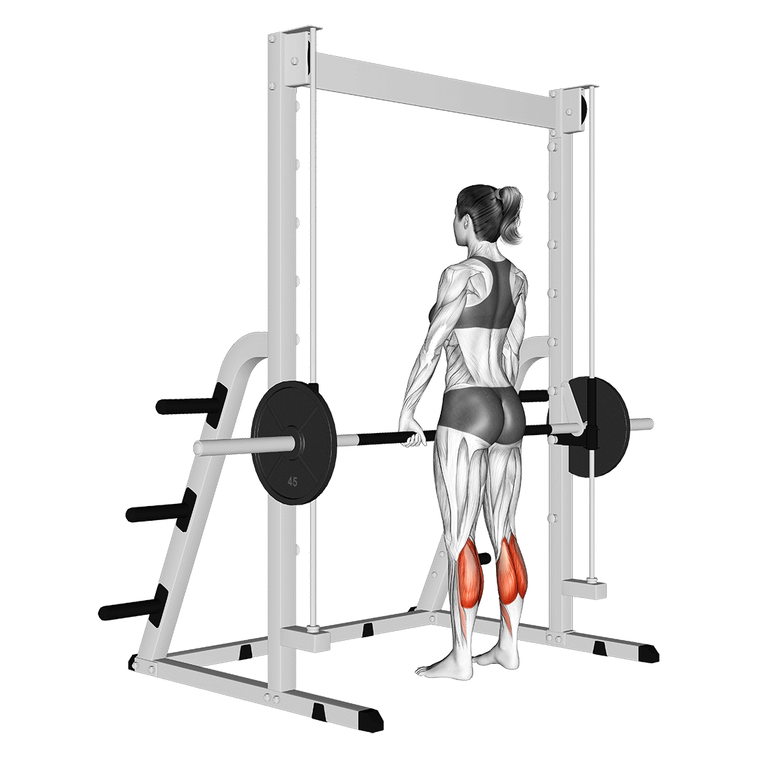 smith machine calf raise