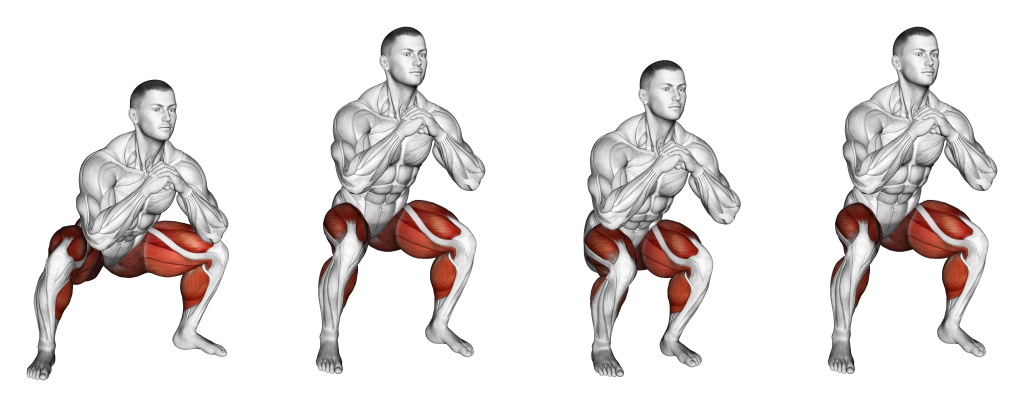 squat jack muscles