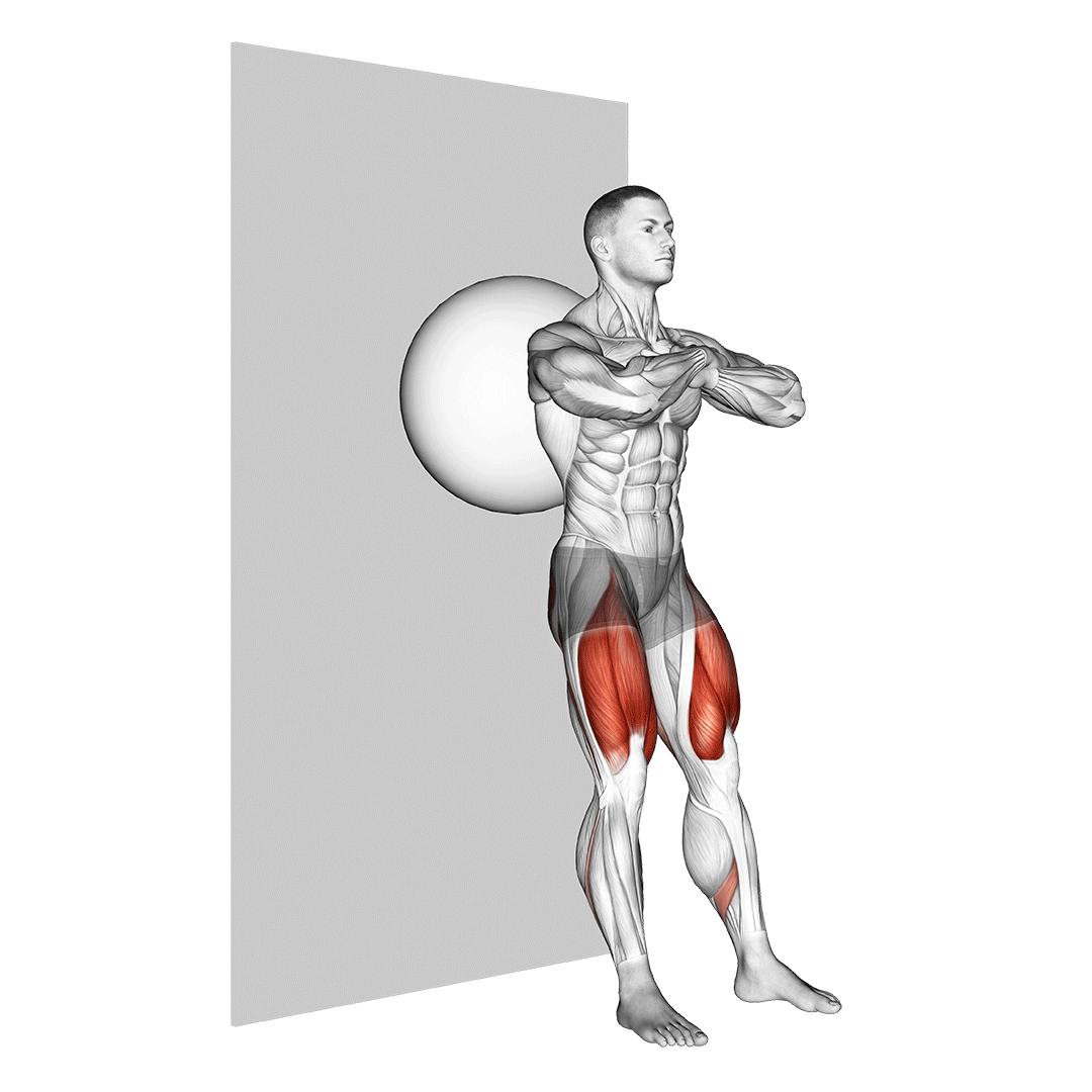 stability ball wall sit