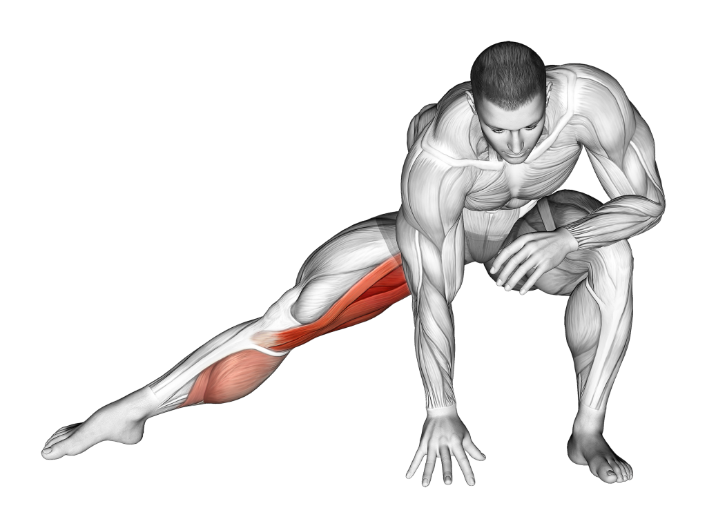 standing bent knee hip adductor stretch