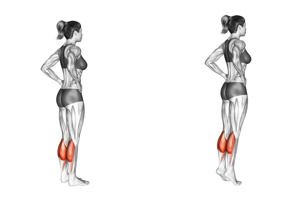 standing bodyweight calf raise