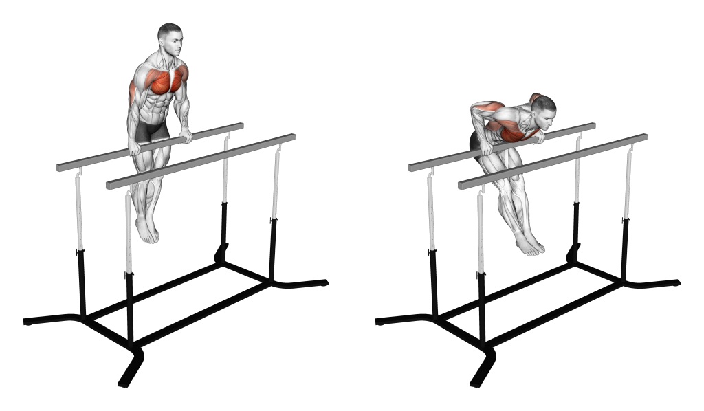 straight bar dips