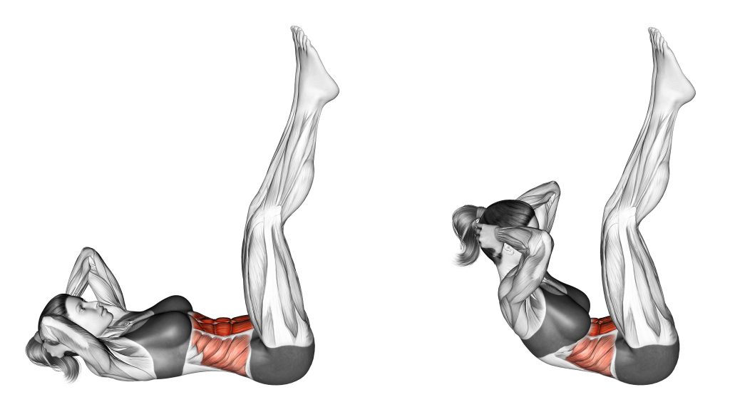 straight leg crunch muscles