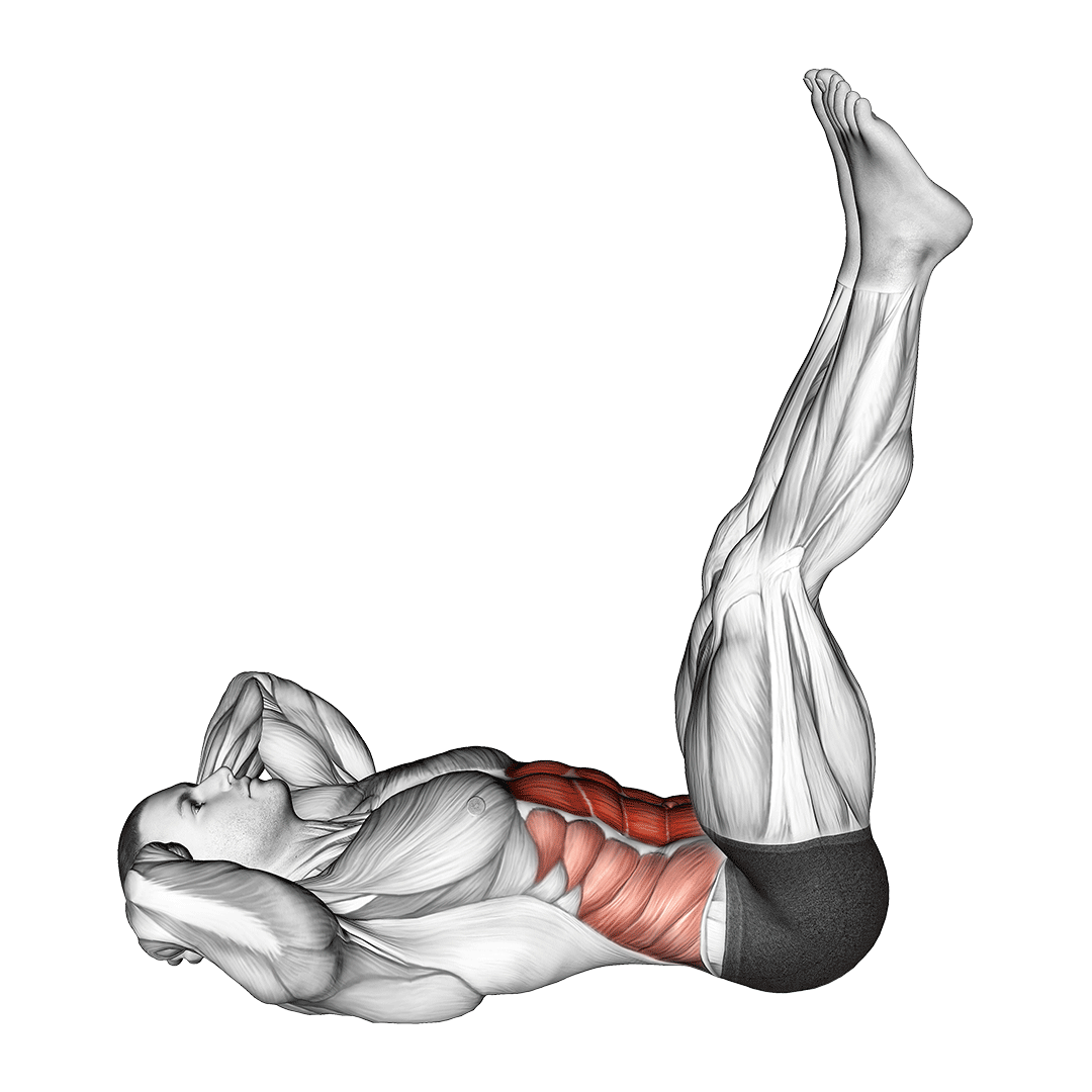 straight leg crunch
