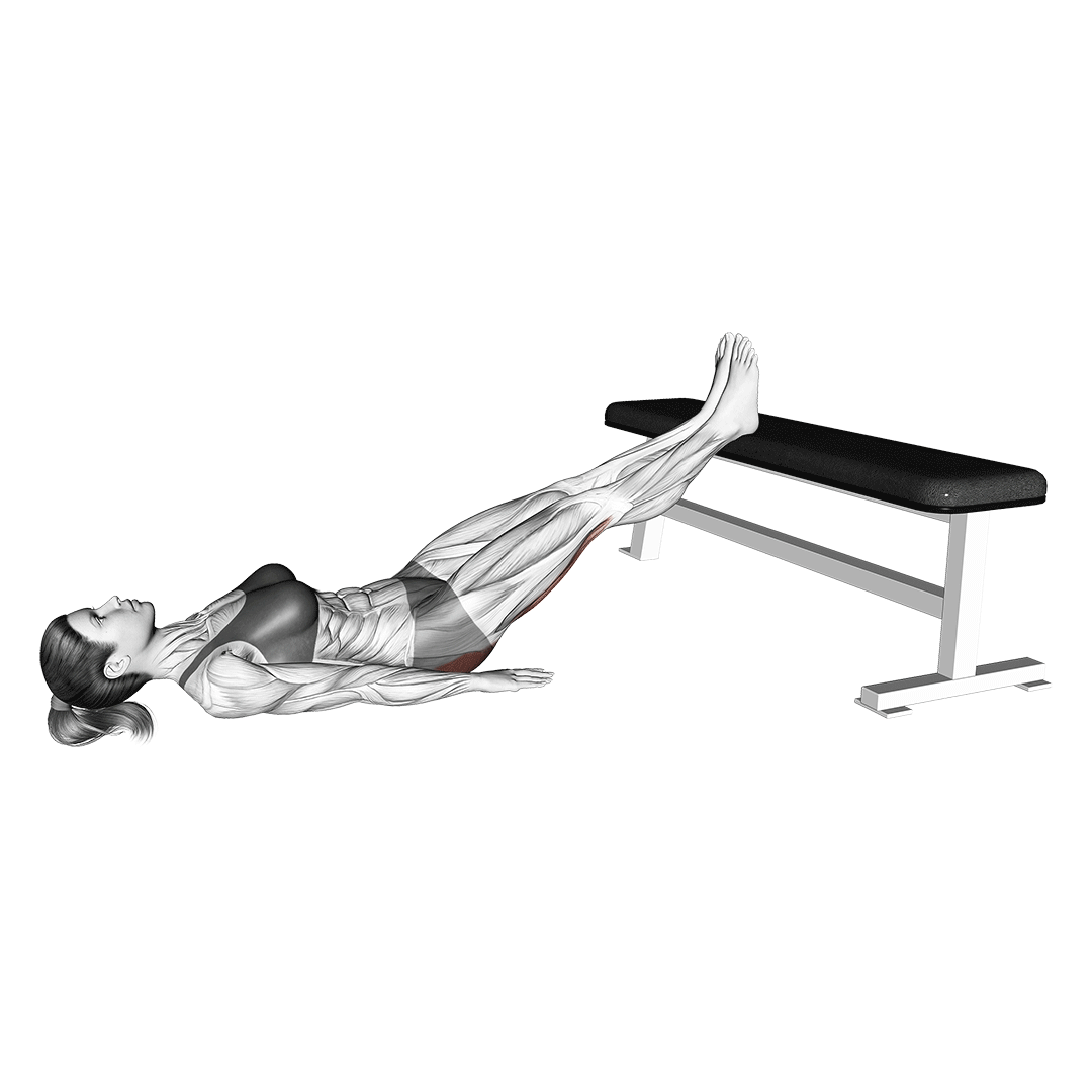 straight leg glute bridge