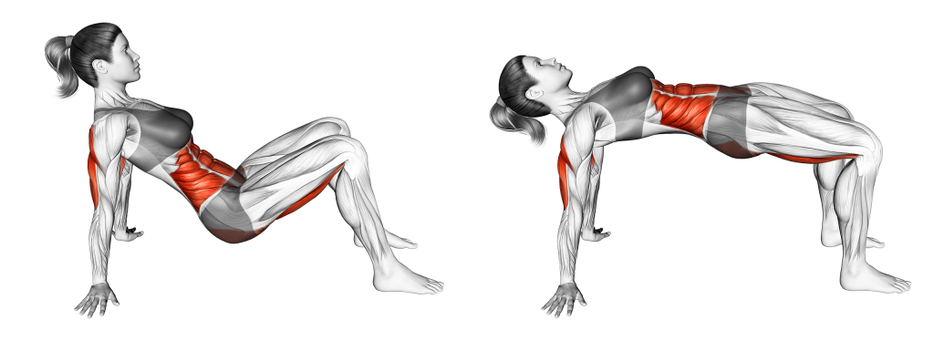 table top glute bridge muscles