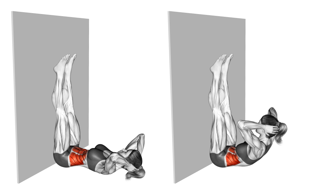 wall crunch muscles