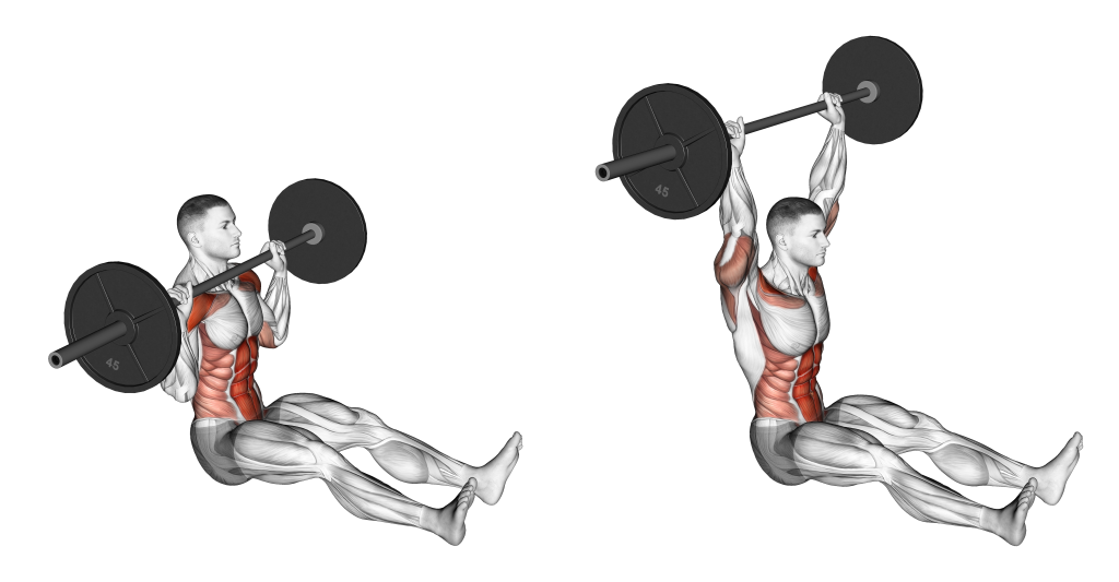 z press muscles