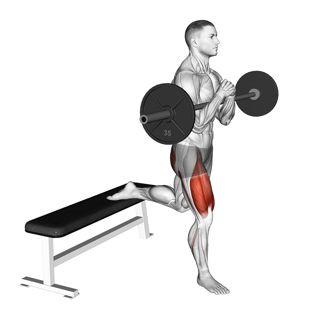 zercher bulgarian split squat