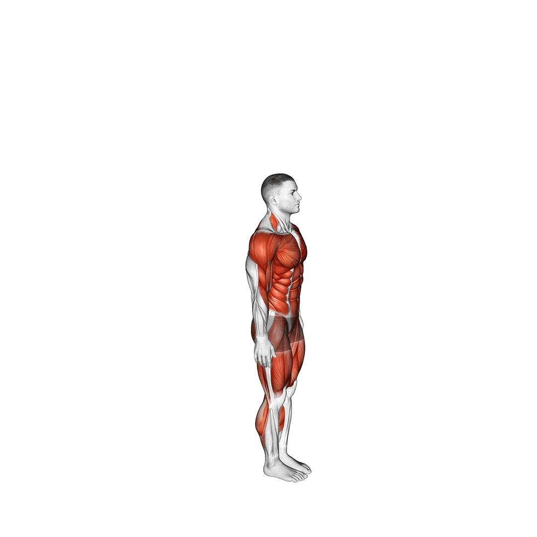 burpee jack
