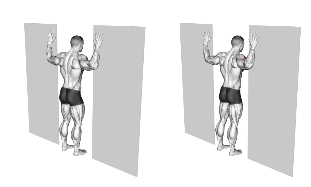 doorway chest stretch muscles